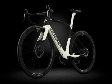 Dogma X